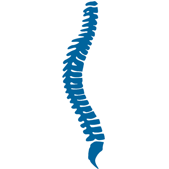 Spinal Cord Icon